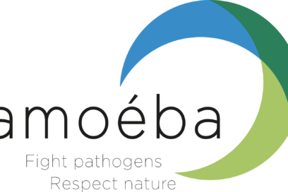 Logo AMOEBA - Agrandir l'image, fenêtre modale